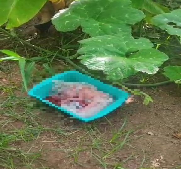 Hallan a un recién nacido en una bolsa de plástico abandonado