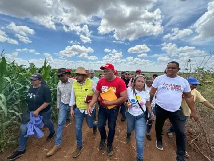 Comuna guariqueña crea banco de semillas de maíz para 200 productores