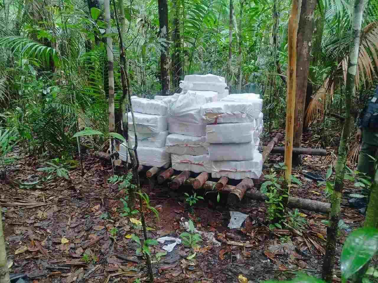 Fanb incauta 5.000 kilos de marihuana en Amazonas