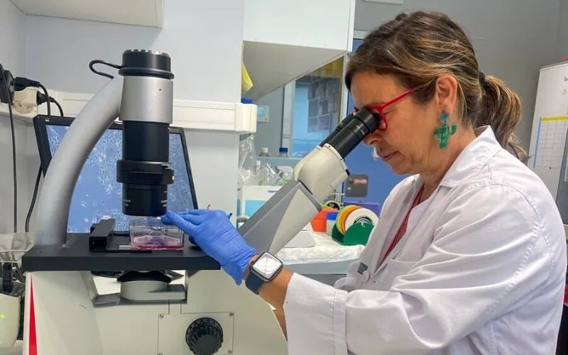 Casos de cáncer aumentarán este año 3,29 %