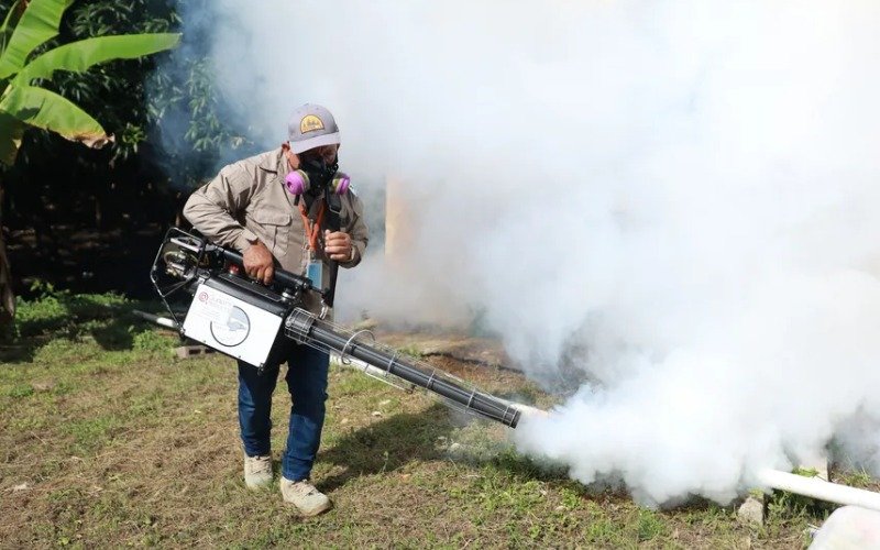 Casos de dengue crecieron 94 % y las muertes casi se triplicaron en Panamá en 2024