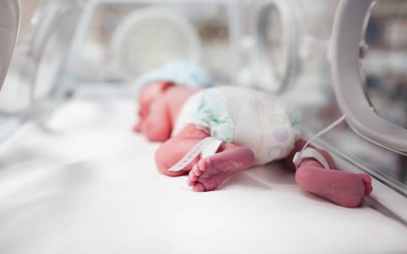 Estudio encuentra altas concentraciones de plásticos en placentas de bebés prematuros