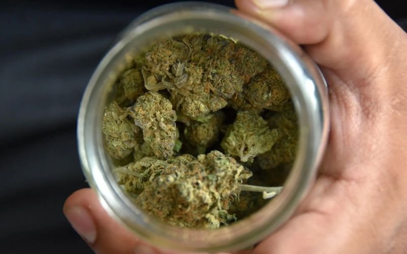 Casos de esquizofrenia entre algunos consumidores de cannabis se triplican en Canadá