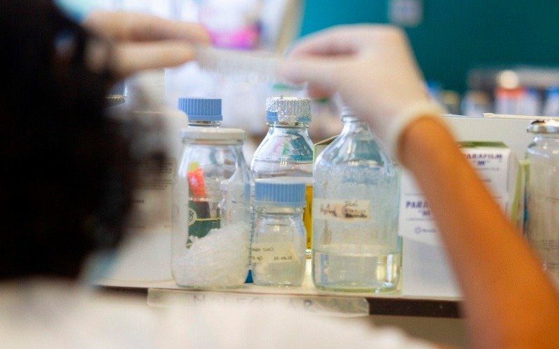 Fármaco anticancerígeno actúa contra varios virus