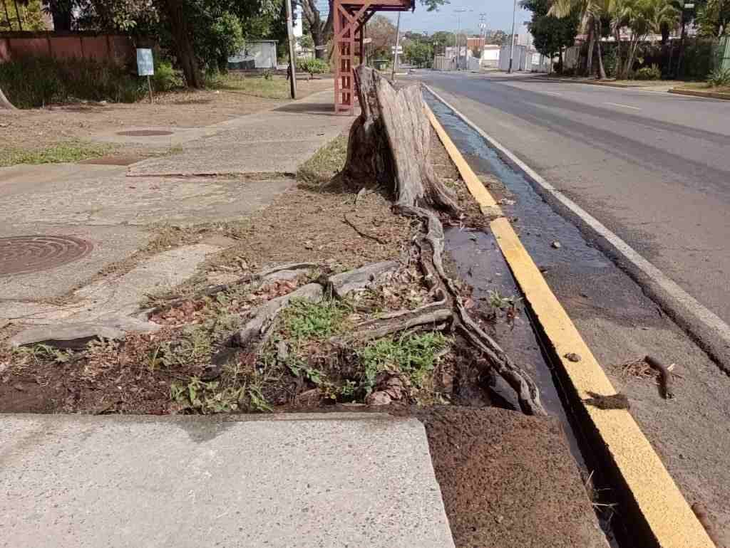Fuente de aguas blancas en tanquilla eléctrica de la Av. Estados Unidos – Villa Brasil