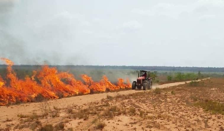 Maderas del Orinoco ha logrado extinguir el fuego en un 95% en Uverito
