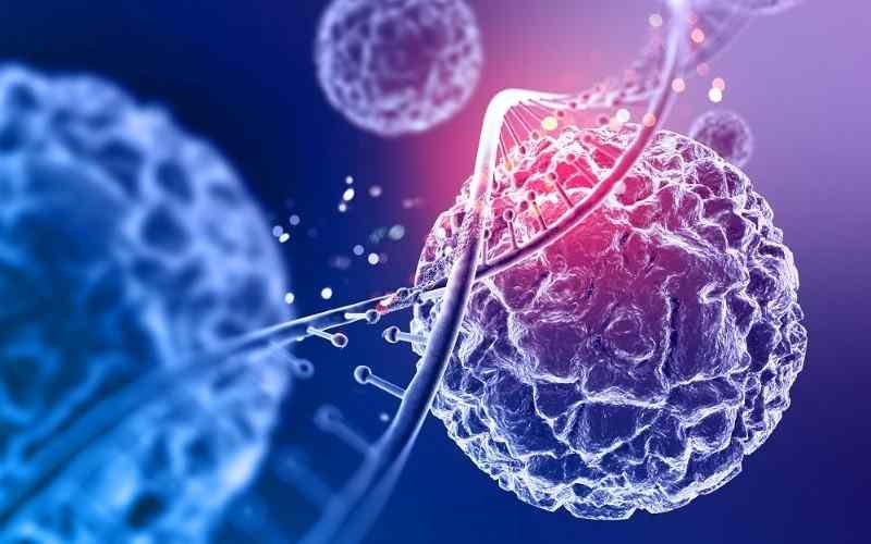 Antecedentes hereditarios podrían aumentar el riesgo de cáncer de 10 a 15%