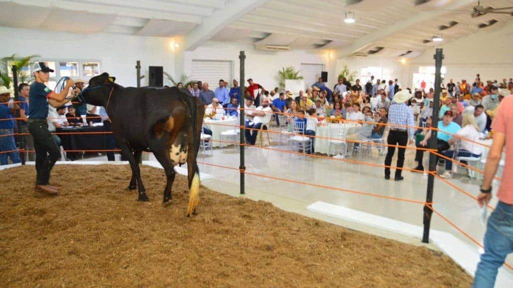El Palmar será epicentro de II Cumbre Empresarial del Sur
