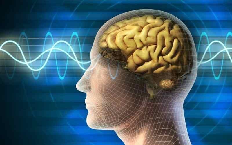 Estudio descubre genes que serían la causa de ocho trastornos psiquiátricos diferentes