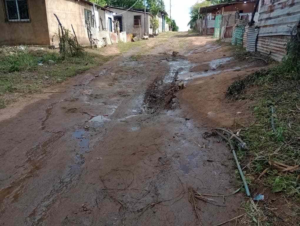 Hato Borges: sus habitantes viven en una situación tétrica y precaria