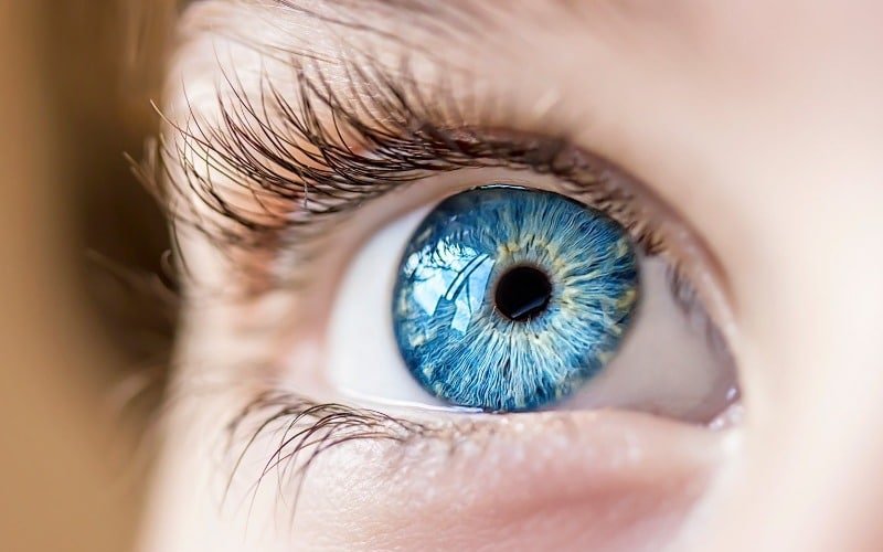 EMA respalda primera terapia contra la enfermedad ocular tiroidea severa de Graves
