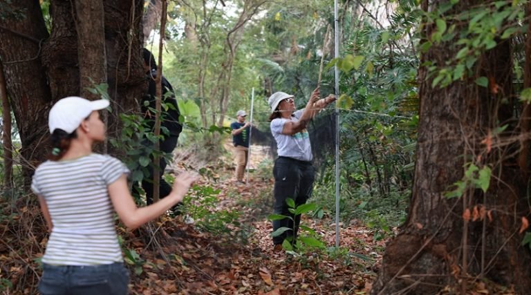 Jardín Botánico de Caracas se convierte en primer observatorio de aves urbanas