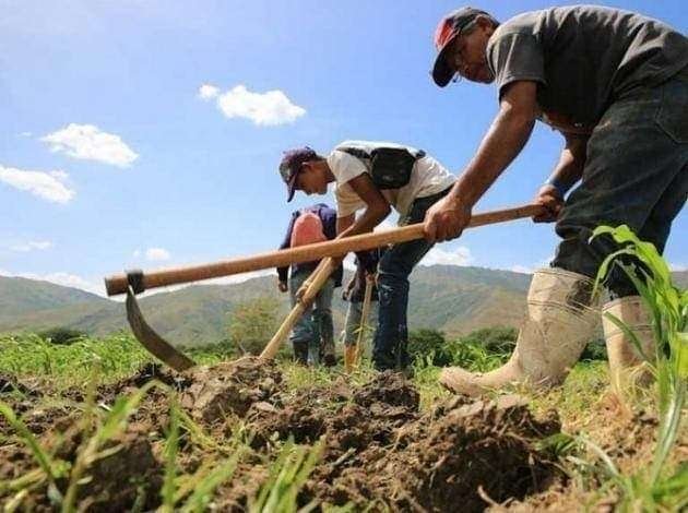 Presidente Maduro conmemoró Día Mundial de la Lucha Campesina