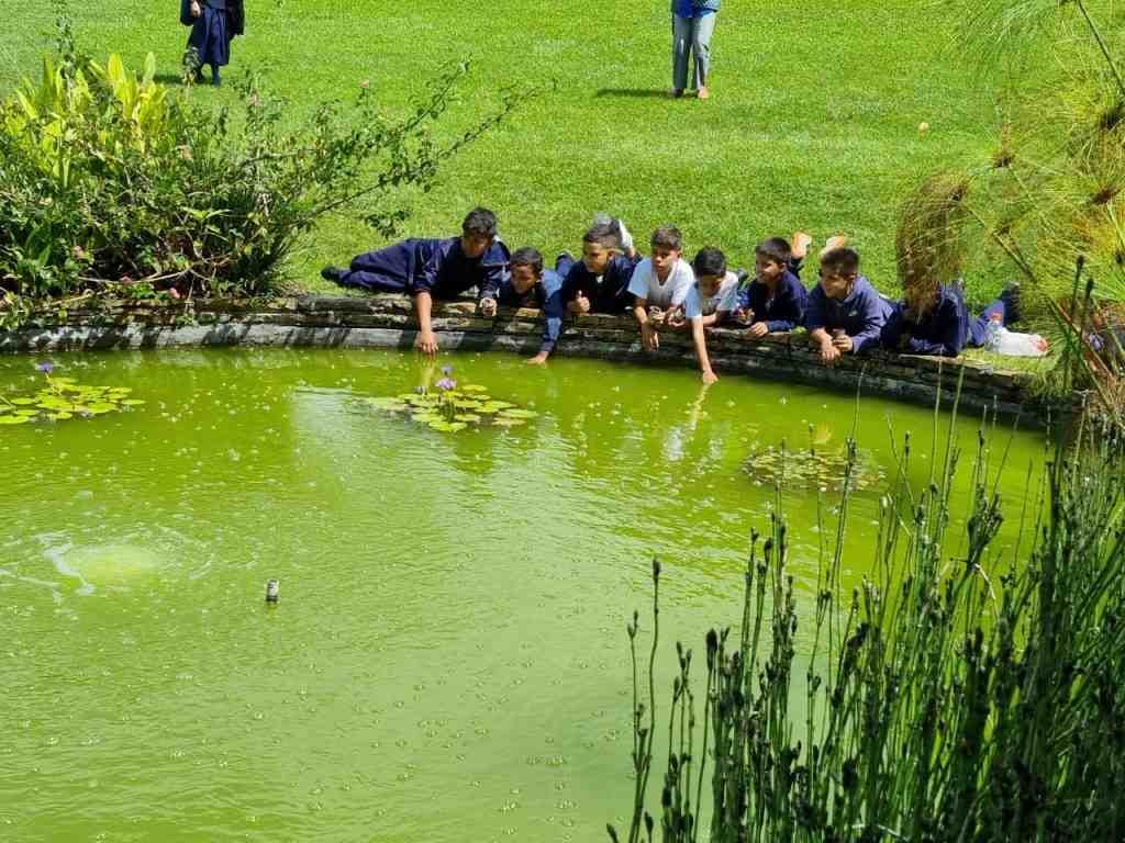 Primera edición del Topodesafío: un proyecto de educación ambiental