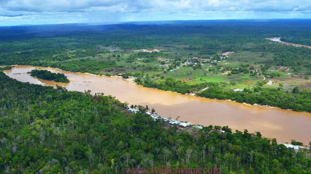 Ciudad Guayana abraza su legado natural: Un Floreciente Movimiento de Conciencia Ambiental