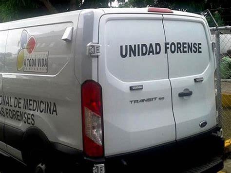 Minero fallece tras caída de árbol en sector Guaiparú